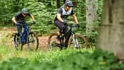 Versender E-Bikes 2020