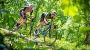 Gravelbikes