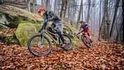 Hardtail-Test 2021