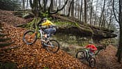 E-MTBs im Test, 04/2021