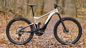 Megatest: 14 E-MTBs: Giant 