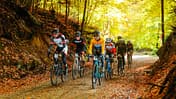 Tortour Gravel