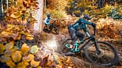 All-Mountain-Biketest 01/2022