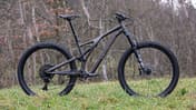 All Mountains Test Specialized