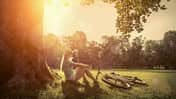 Woman sitting under sun near her bicycle in the park