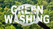 Alert to Greenwashing - concept with text against a forest and trees and magnifying glass