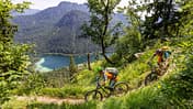 Trailguide Berchtesgadener Land