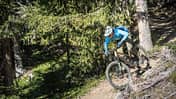 Canyon Spectral 125 CF LTD