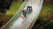 Kindertransport Fahrrad/ E-Bike I Fahrrad mit Croozer Kinderanhänger
