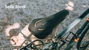 Fahrradsattel I Selle Royal Sattel Lookin Evo neuer Sattel für Citybikes und Tourenbikes aus nachhaltiger Produktion.