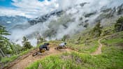 Enduro-Test