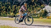 Trekking E-Bike Victoria Fybron Action