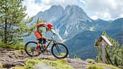 King of the Alps
