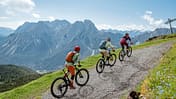 King of the Alps