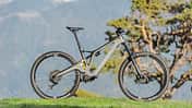 Light-E-MTBs
