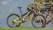 Light-E-MTBs