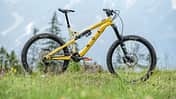 Light-E-MTBs