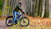 Trekking E-Bike Victoria Fybron 8 in Action