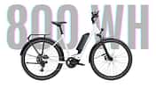 Diamant Zing mit 800 Wh Akku