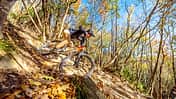 All-Mountain-Test: Mondraker