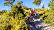 Scott Spark 940