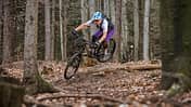 Orbea Rallon M20 Custom