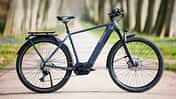 Trekking E-Bike Radon Relate 9.0 750 Seitenansicht