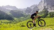 Specialized Crux Gravelbike Alpen