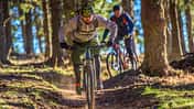 People enjoying mountain biking