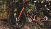 Gravelbike,Arid Carbon,am Baum lehnend,Bikepacking,Mondraker