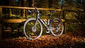 Giant Defy E+ Elite 1,E-Rennrad,Holzzaun,Laub,Herbst