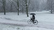Studie: Alleinunfälle Fahrrad 