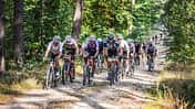 HarzGravel,Gravel Race,viele Fahrer