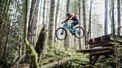 WALD.WEIT Flowtrails: Neuer Bikepark im Rheingau eröffnet 