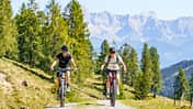E-Bike Tour