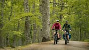 Bosch Neuheiten Eurobike 2025!