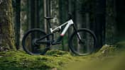 Rose File Plus Light-E-MTB