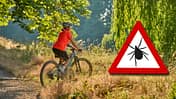 Zeckengefahr beim Radfahren