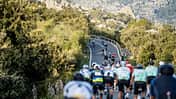 Mallorca312,Rad-Event,Serpentinen