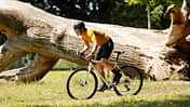 Specialized Crux DSW,Gravelbike,Action,Baumstamm