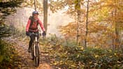Young woman mountain biker in the forest at dawn