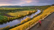 Nette ältere Dame, die mit ihrem elektrischen Mountainbike durch die steilen, herbstlich gefärbten Weinberge des Neckartals fährt.
