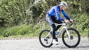 Canyon Endurace CFR Mathieu van der Poel Allroad-Bike Endurance Komfort Kopfsteinpflaster