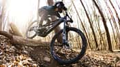 Canyon Strive:On