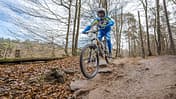 Ein Mountainbiker mit Helm und Schutzkleidung fährt auf einem Trail im Wald über felsigen Untergrund. Das Bild wurde in Beerfelden aufgenommen und zeigt eine Szene aus dem Mountainbike-Sport.