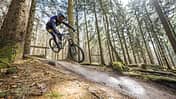 Mountainbiker mit Fullface-Helm auf einem Trail im Wald, springt über eine Bodenwelle. Aufnahme im Bikepark Beerfelden.