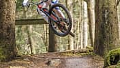 Mountainbiker springt auf einem Trail im Wald in Beerfelden, aufgenommen am 14.04.2026. Der Fahrer trägt Schutzkleidung und Helm.