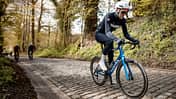 Canyon Endurace CF SLX Rennrad Komfort Langstrecke Fahrbild Flandern Taaienberg
