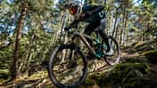 Yeti LT