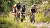Vier Gravelbikes, Fahrer,Forstweg